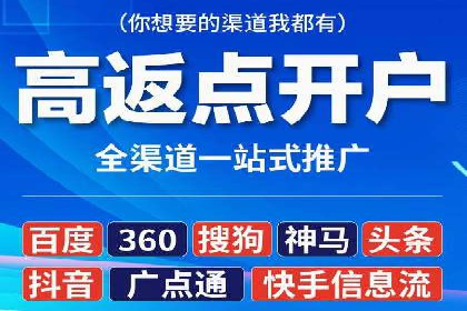 竞价排名优化策略案例分析